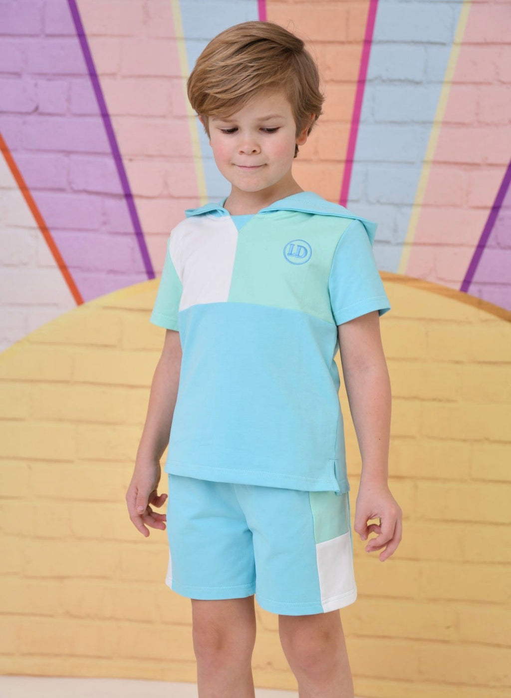 Little Dudes Boys Blue Hooded Shorts Set – Soft Summer Lounge Set | Ages 2-8 Years
