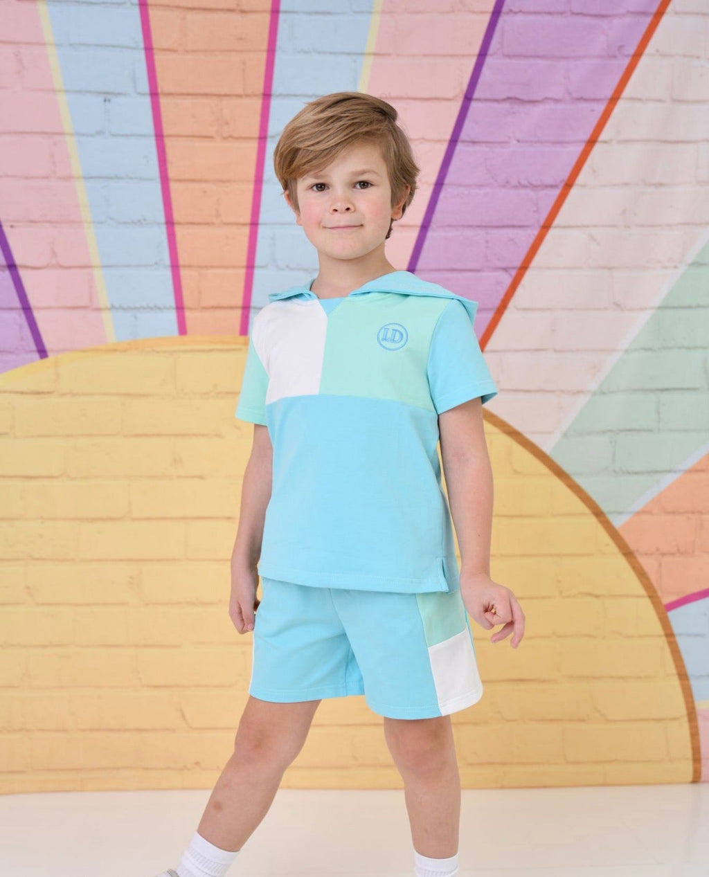 Little Dudes Boys Blue Hooded Shorts Set – Soft Summer Lounge Set | Ages 2-8 Years
