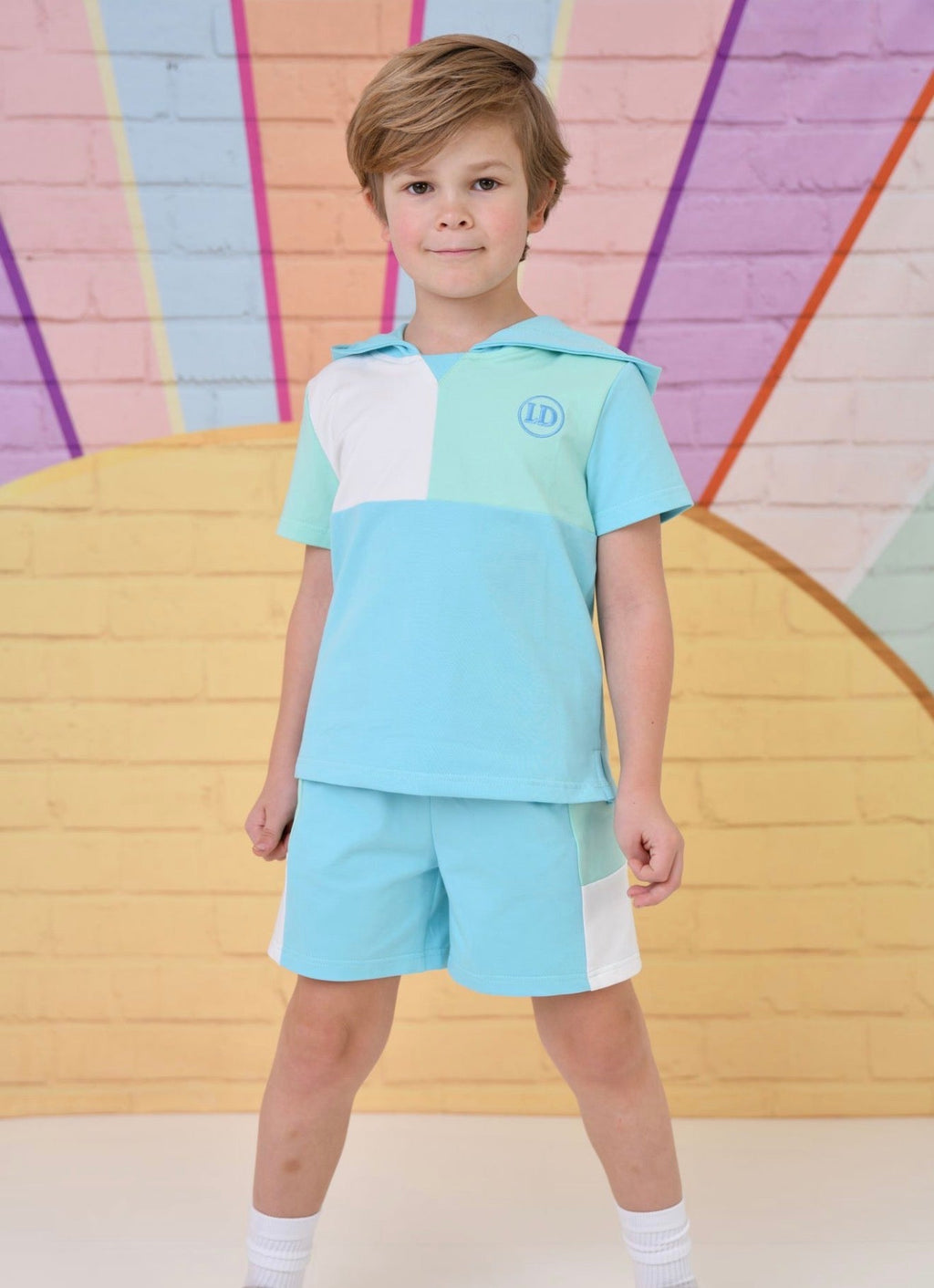 Little Dudes Boys Blue Hooded Shorts Set – Soft Summer Lounge Set | Ages 2-8 Years
