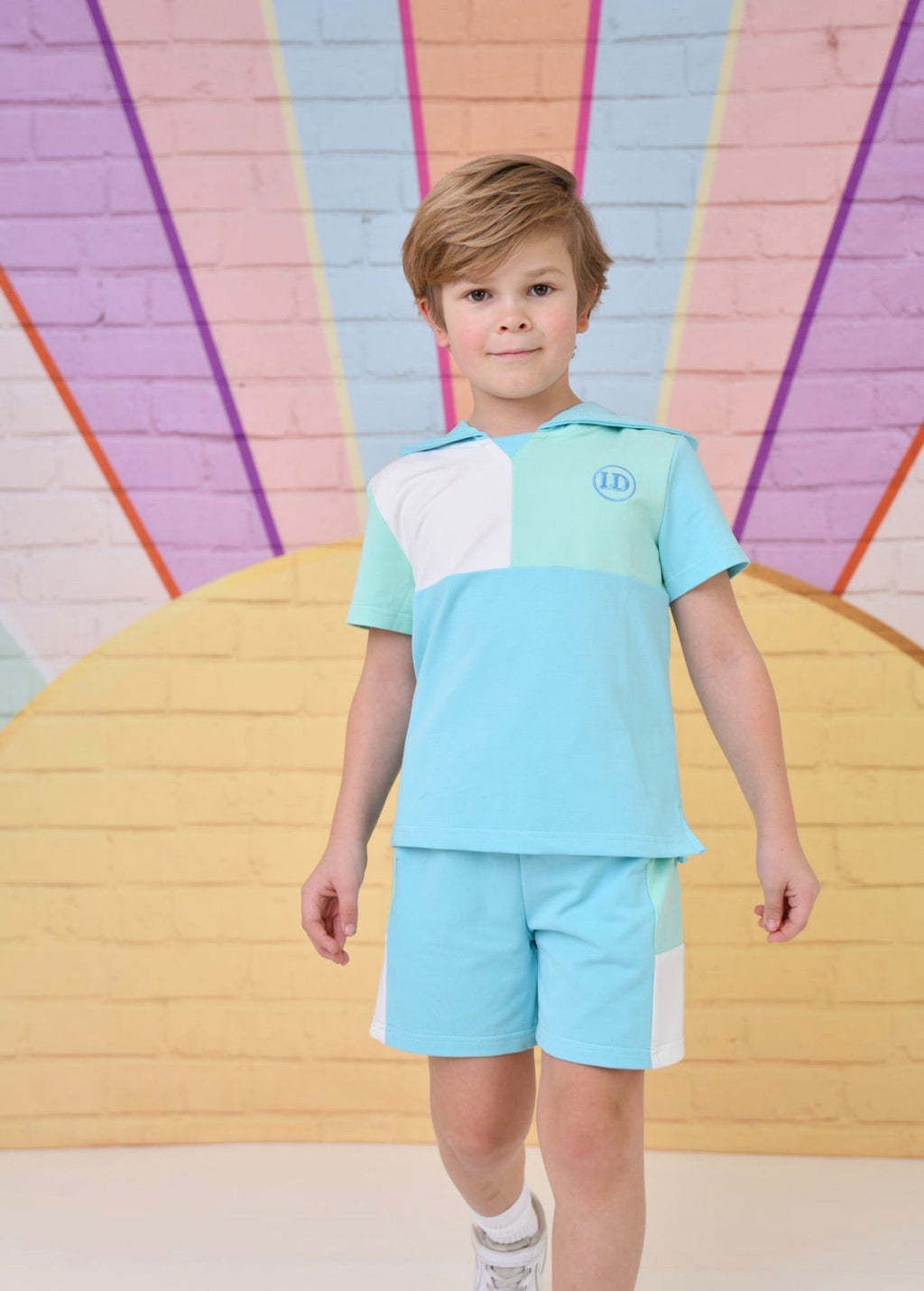 Little Dudes Boys Blue Hooded Shorts Set – Soft Summer Lounge Set | Ages 2-8 Years