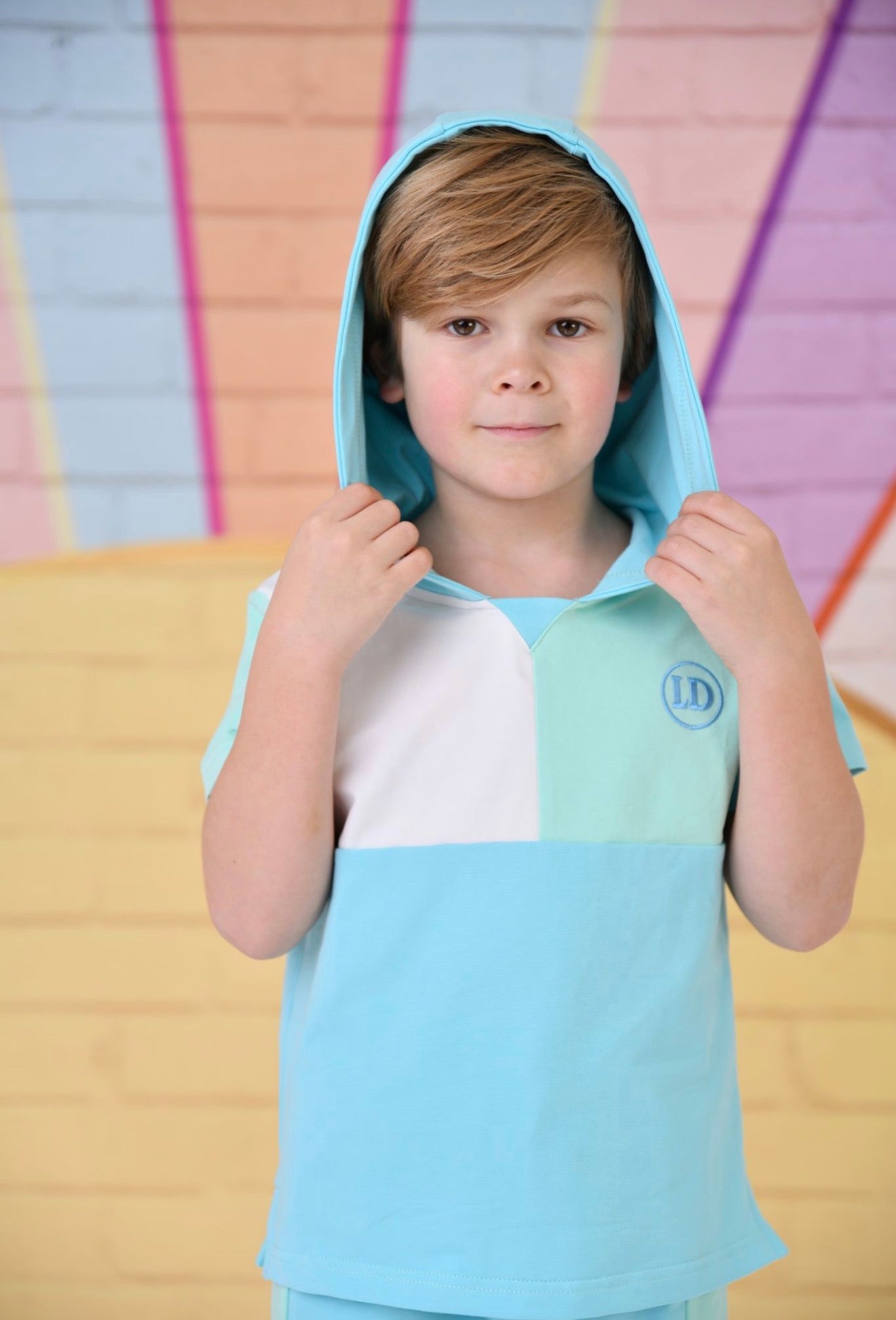 Little Dudes Boys Blue Hooded Shorts Set – Soft Summer Lounge Set | Ages 2-8 Years