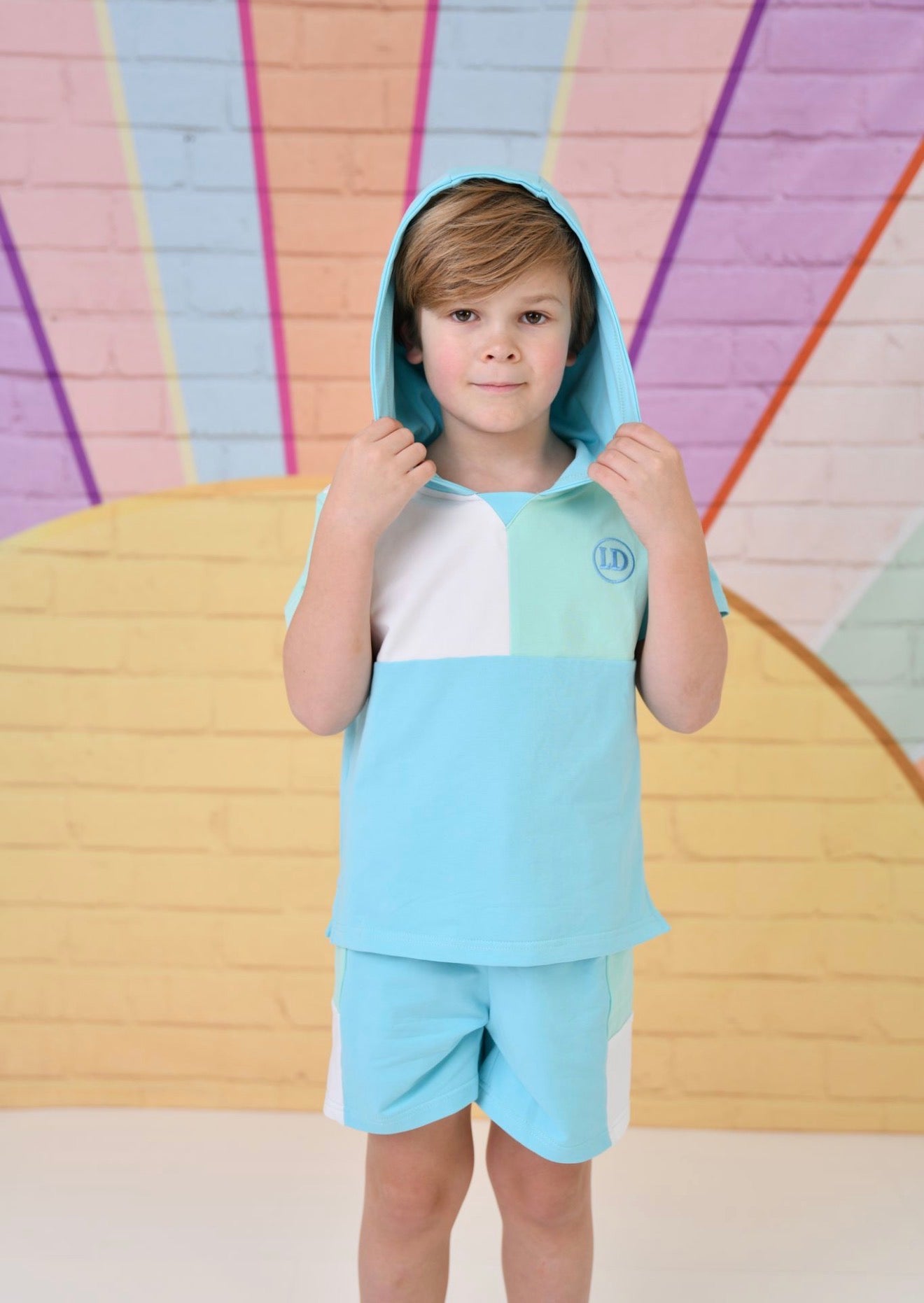 Little Dudes Boys Blue Hooded Shorts Set – Soft Summer Lounge Set | Ages 2-8 Years